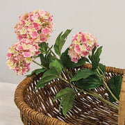 Pink Snowball Hydrangea Spray - 37"
