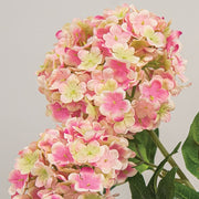 Pink Snowball Hydrangea Spray - 37"