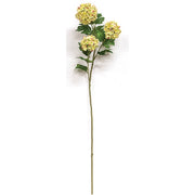 Yellow Snowball Hydrangea Spray - 32"
