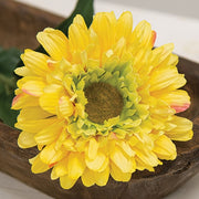 Yellow Gerber Daisy Stem - 23.5"