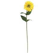 Yellow Gerber Daisy Stem - 23.5"