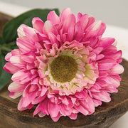 Pink Gerber Daisy Stem - 23.5"