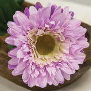 Lilac Gerber Daisy Stem - 23.5"