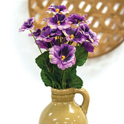 Purple Pansy Bush - 12"