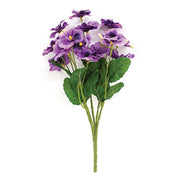 Purple Pansy Bush - 12"