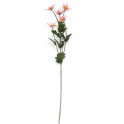 Starburst Dahlia Spray - 30" - Pink