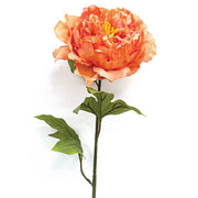 Giant Peony Spray - 28" - Peach