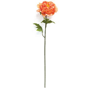 Giant Peony Spray - 28" - Peach