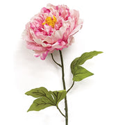 Giant Peony Spray - 28" - Blush