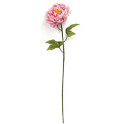 Giant Peony Spray - 28" - Blush