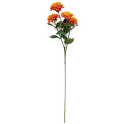 Blossoming Zinnia Spray - 28" - Orange