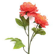 Coral Peony Spray - 25"