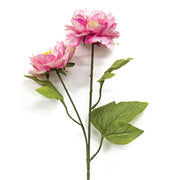Pink Peony Spray - 25"