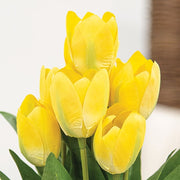 Yellow Blooming Tulips Bush - 18"