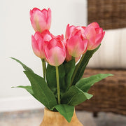Pink Blooming Tulips Bush - 18"