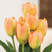 Peach Blooming Tulips Bush - 18"