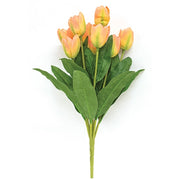 Peach Blooming Tulips Bush - 18"