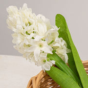 White Hyacinth Stem - 11"H
