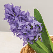 Purple Hyacinth Stem - 11"H