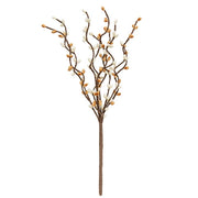 Butter Cake Pip Berry Pick - 12"