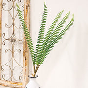 Sword Fern Bundle - 27"