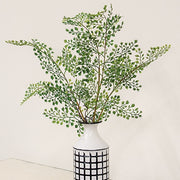 Maidenhair Fern Bush - 21.5"