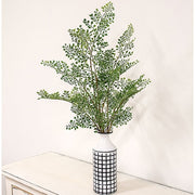 Maidenhair Fern Bush - 27"