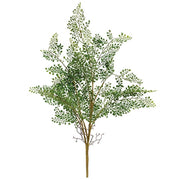 Maidenhair Fern Bush - 27"