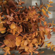 Soft Touch Baby Eucalyptus Bush - Mustard - 13"