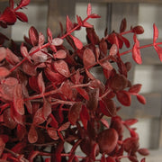 Soft Touch Baby Eucalyptus Bush - Burgundy - 13"