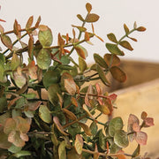 Soft Touch Baby Eucalyptus Wreath - Olive Green - 18"