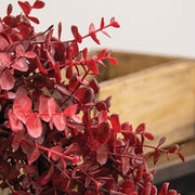 Soft Touch Baby Eucalyptus Wreath - Burgundy - 18"