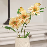 Apricot Scabiosa Spray - 25"