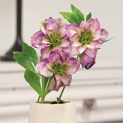 Violet Scabiosa Spray - 25"