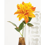 Sunrise Dahlia Stem - 27"H