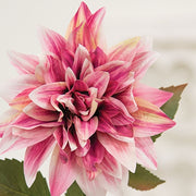 Sunset Dahlia Stem - 27"H