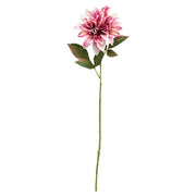 Sunset Dahlia Stem - 27"H