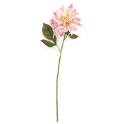 Blush Dahlia Stem - 27"H