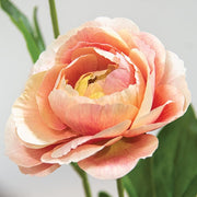Blushing Peach Peony Spray - 23"H