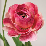 Tropic Pink Peony Spray - 23"H