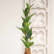 Lush Green Laurel Spray - 27.5"H