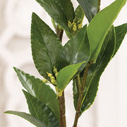 Lush Green Laurel Spray - 27.5"H