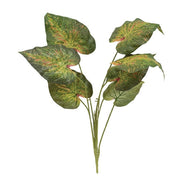 Perilla Leaf Speckled Bush - 24" - Dark Green