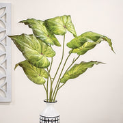 Perilla Leaf Speckled Bush - 24" - Light Green