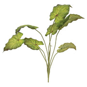 Perilla Leaf Speckled Bush - 24" - Light Green