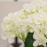 White Hydrangea Bush - 17"H