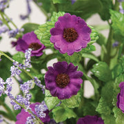 Purple Mini Daisy & Heather Bush - 22"