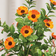 Sunset Mini Daisy & Heather Bush - 22"