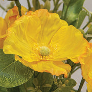 Yellow Poppy & Wildflower Bush - 22"