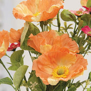 Peach Poppy & Wildflower Bush - 22"